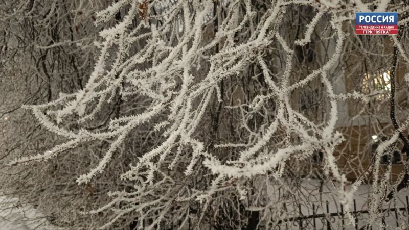 В Кировской области в понедельник обещают пасмурную и морозную погоду