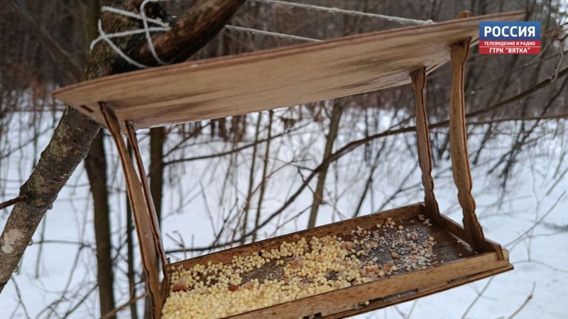 В субботу в Кировской области местами ожидается туман