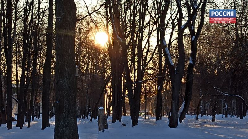 В Кировской области обещают туманную пятницу