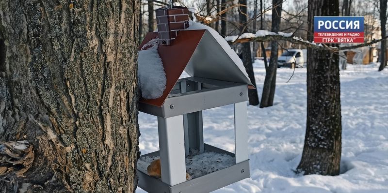 Лучшая кормушка: конкурс для кировчан