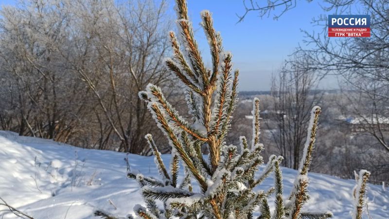 В понедельник в Кировской области обещают от -8 градусов