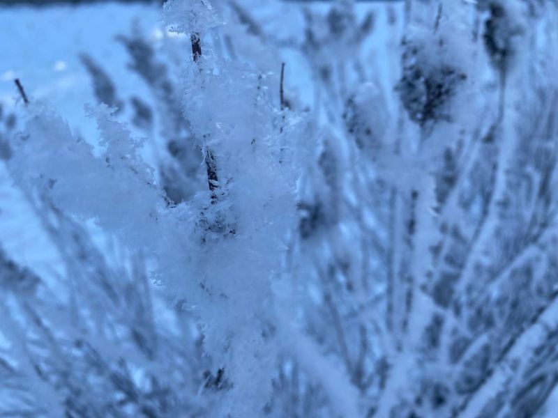 В понедельник жители Кировской области смогут наблюдать изморозь