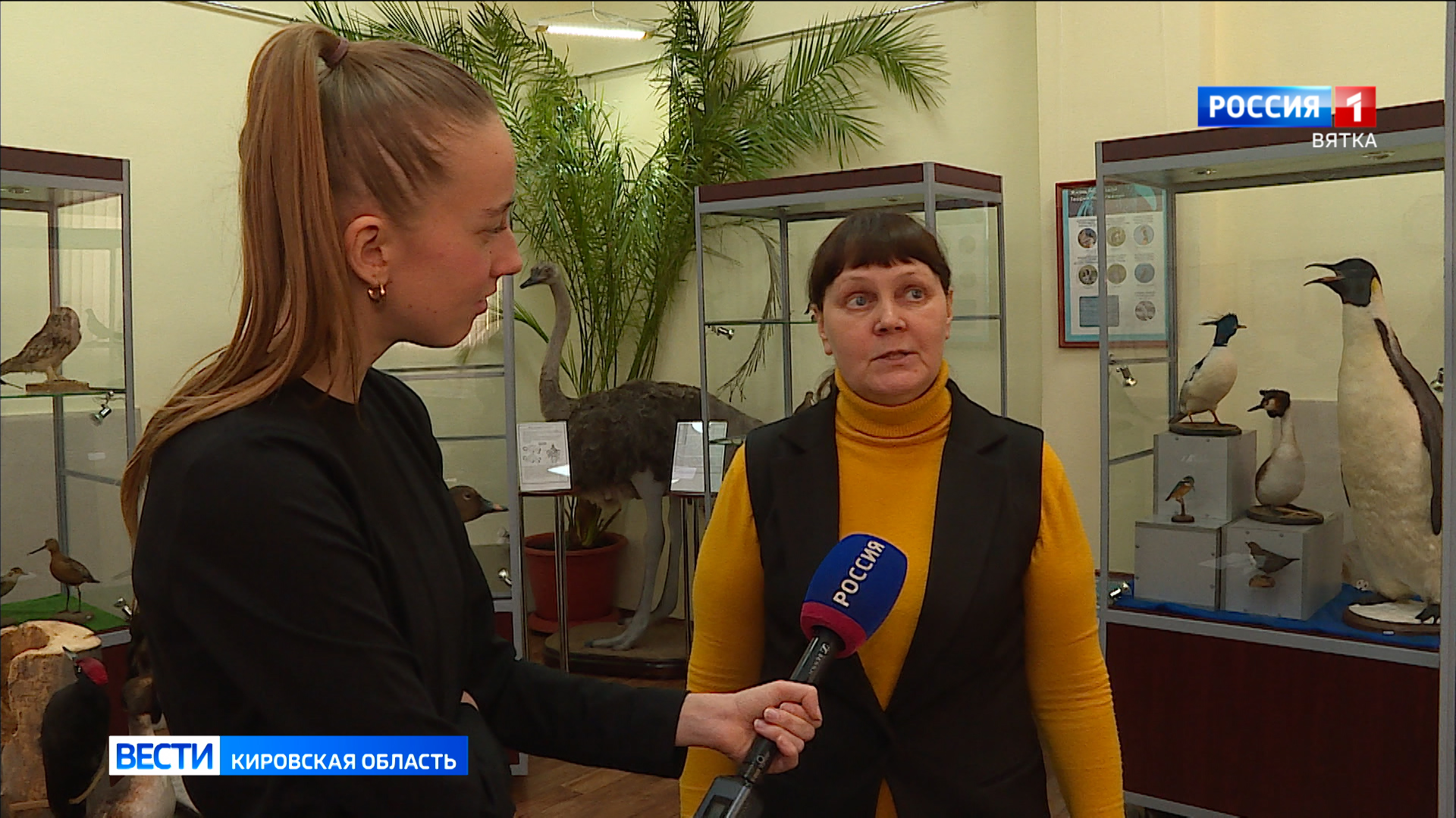 В Кировском зоологическом музее стартовал уникальный совместный проект
