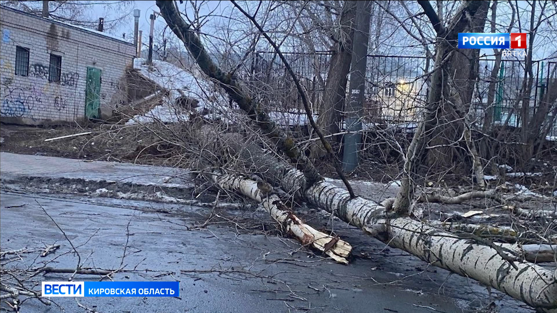 В Кирове из-за сильного ветра зафиксировано несколько происшествий