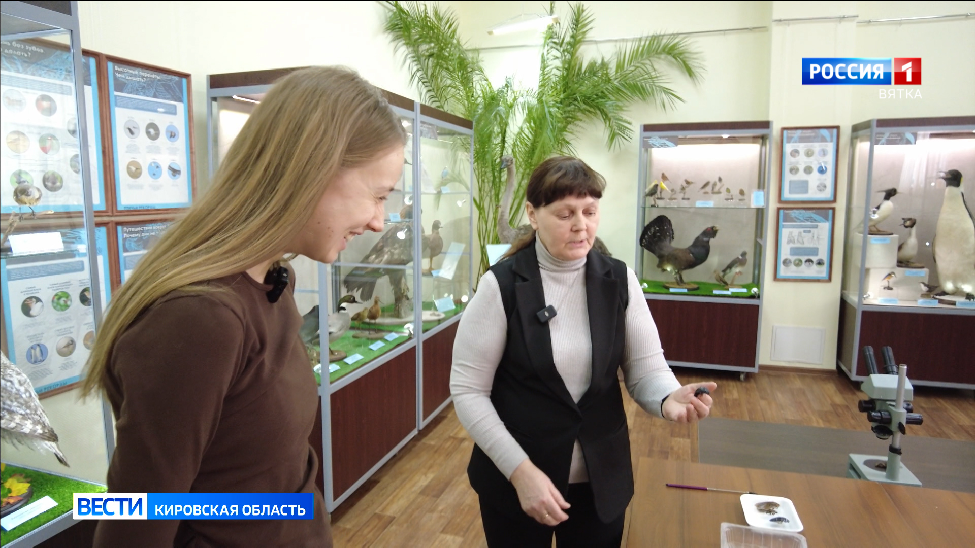 Хвост за хвост. Тараканы (14.03.2025)