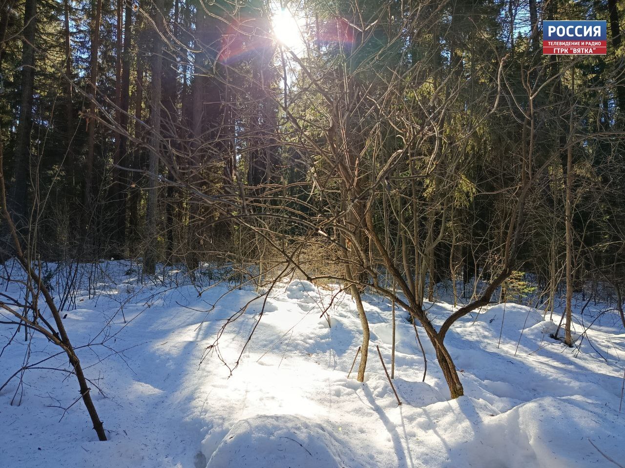 В среду в Кировской области прогнозируют порывы ветра до 14 м/с