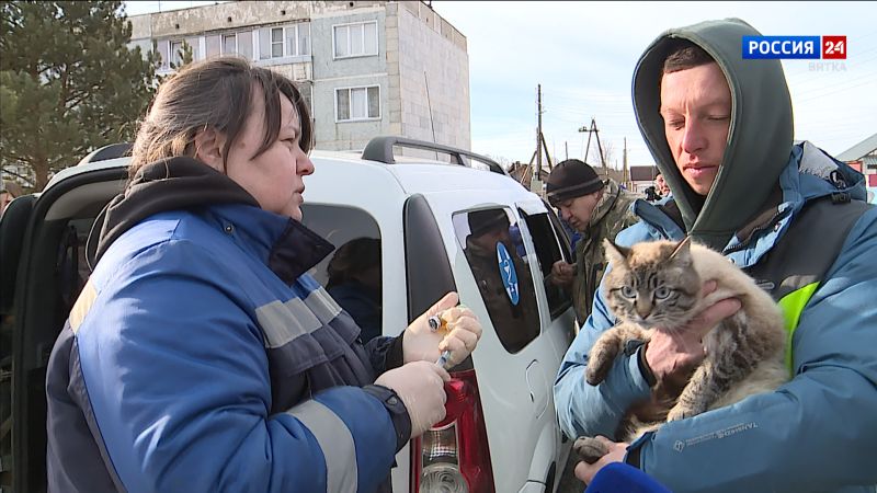 В Кирове стартовала выездная вакцинация домашних животных от бешенства