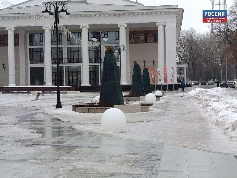 В Кирове до начала периода активного солнца затенили туи