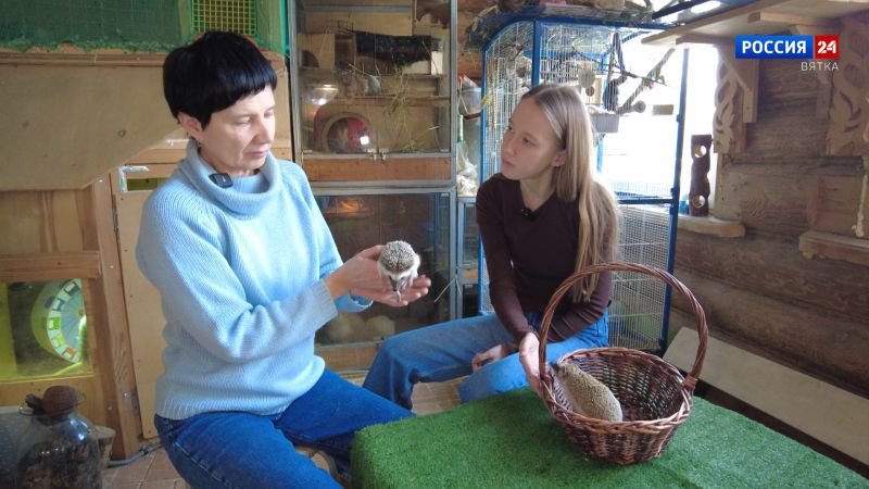 Хвост за хвост. Ежи (12.03.2025)