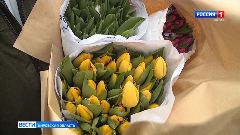 Кировчане рассказали, какая она, идеальная женщина