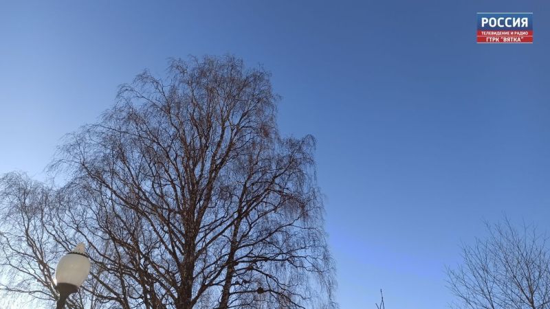 В Кировской области в воскресенье прогнозируют порывы ветра до 14 м/с