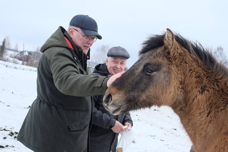 На Всероссийском сельском Сабантуе-2025 презентуют вятскую породу лошадей