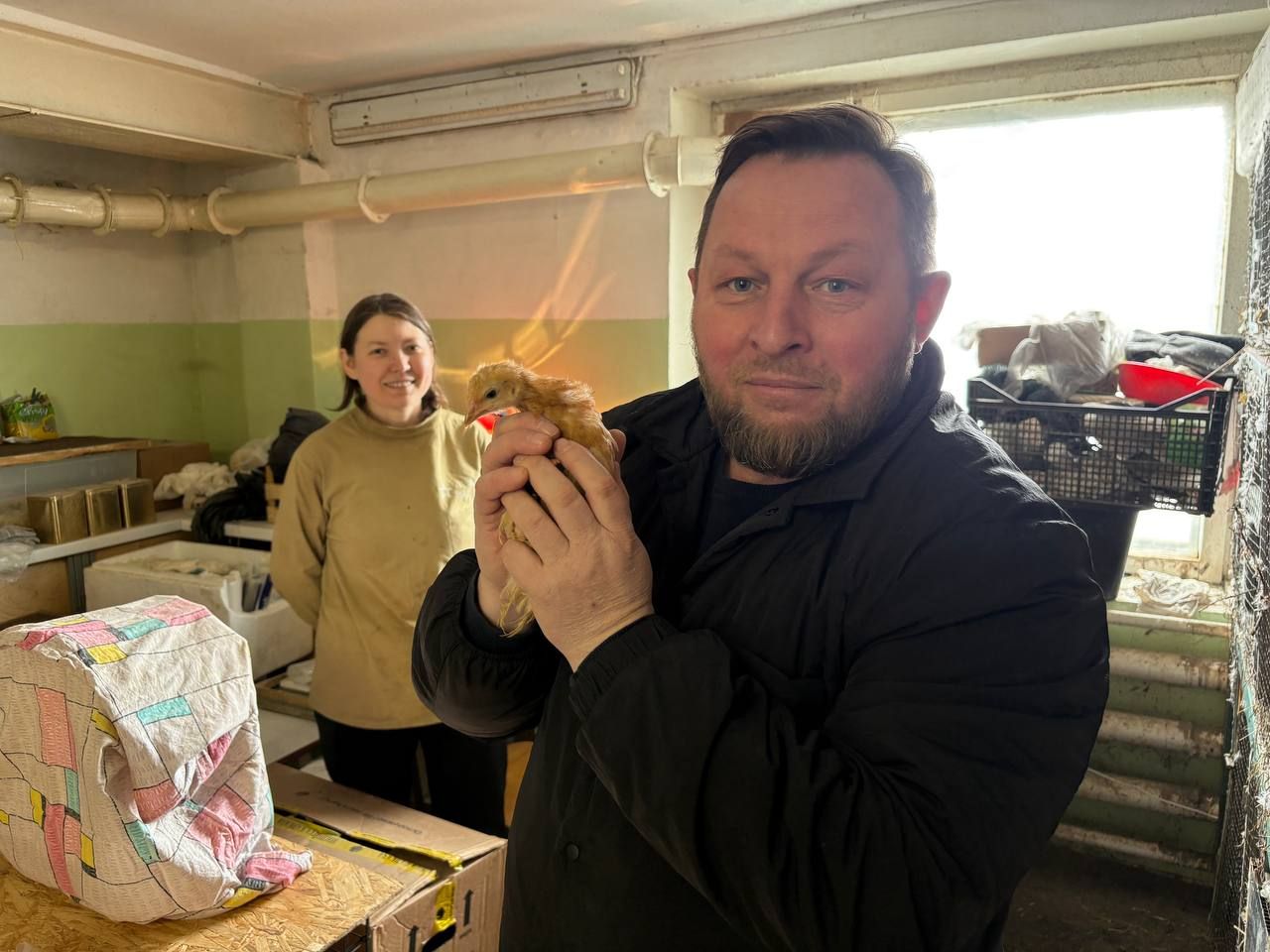 В Кирове планируют контролировать популяцию ворон при помощи волонтеров