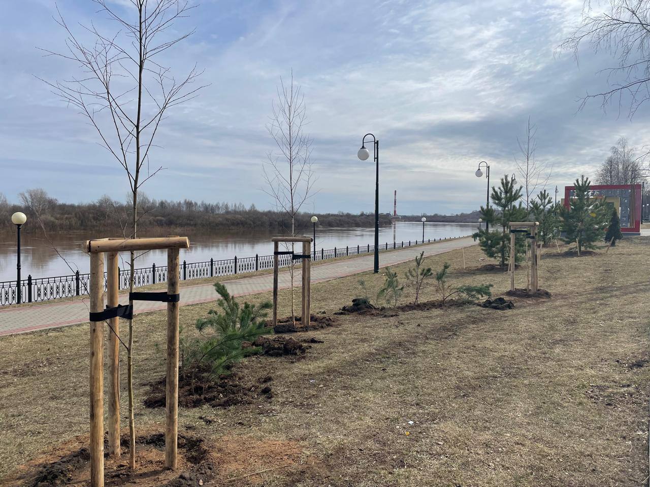 На Нововятской набережной продолжается озеленение