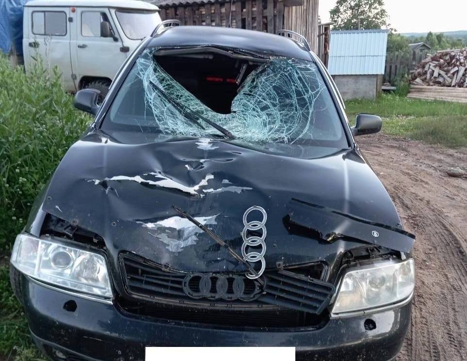 В Кировской области осудили водителя, насмерть сбившего 14-летнего мальчика