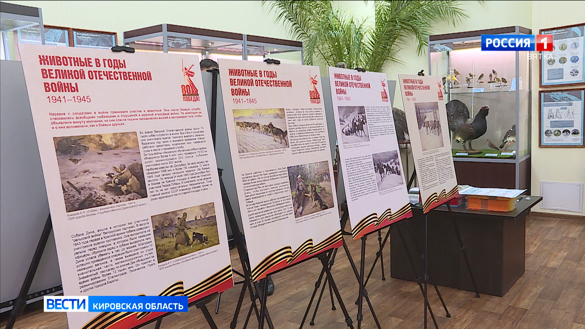 В Кировском зоологическом музее открылась выставка о четвероногих героях Великой Отечественной войны