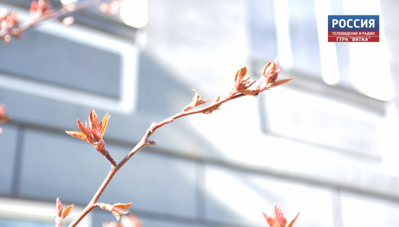 МЧС: из-за теплой ветреной погоды возрастает риск пожара