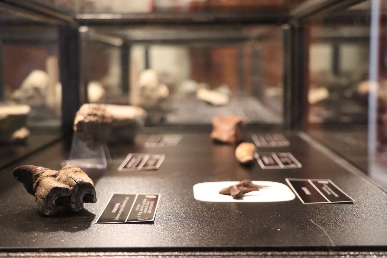 В Кирове стартует Вятский Полевой Сезон - 2025