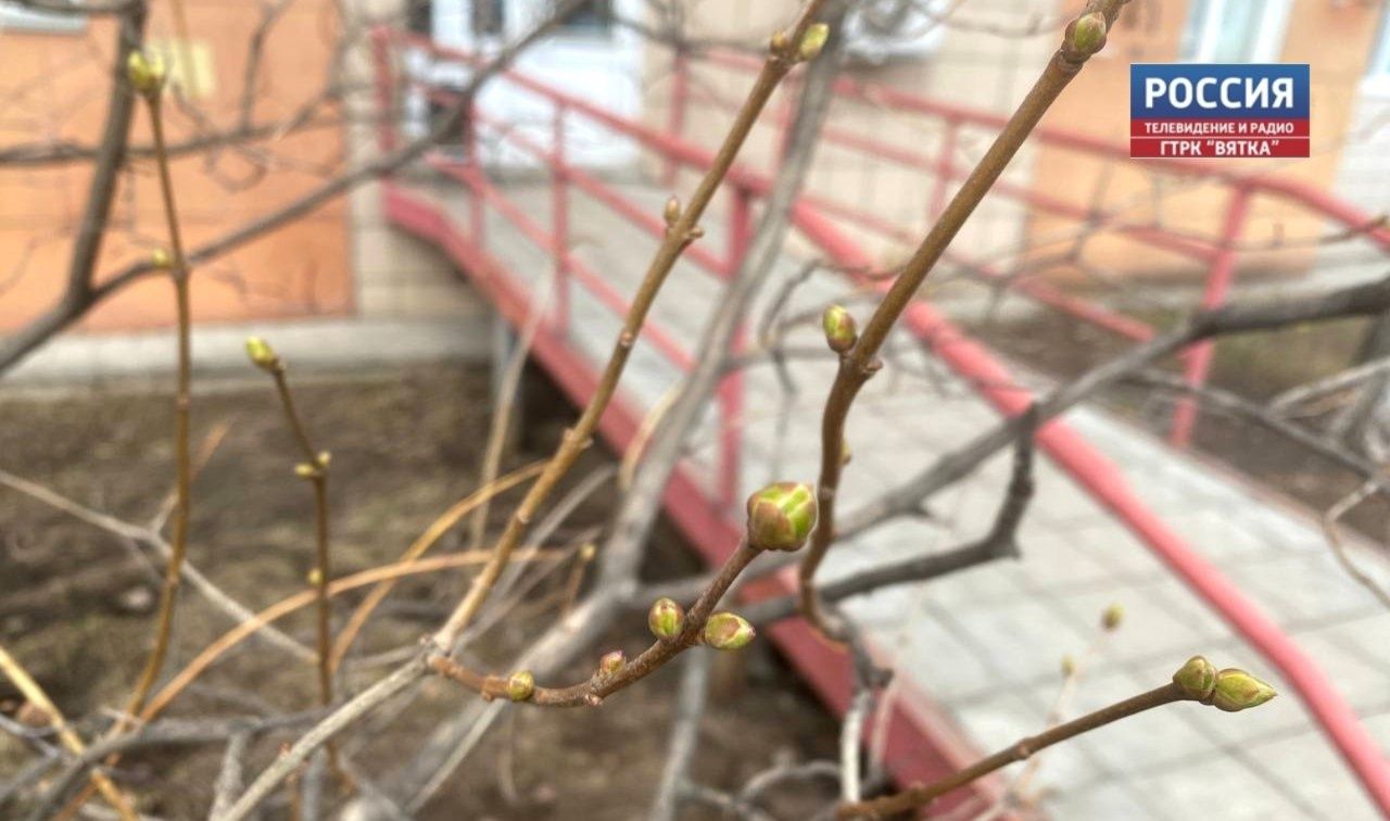 В понедельник в Кирове обещают дождь и снег