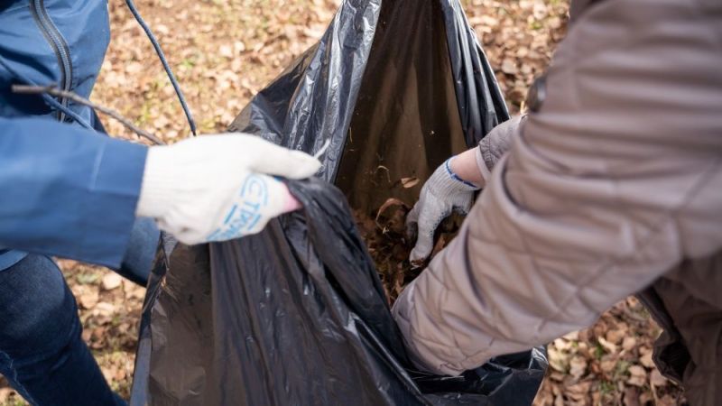 Общегородские субботники пройдут на 25 общественных территориях Кирова