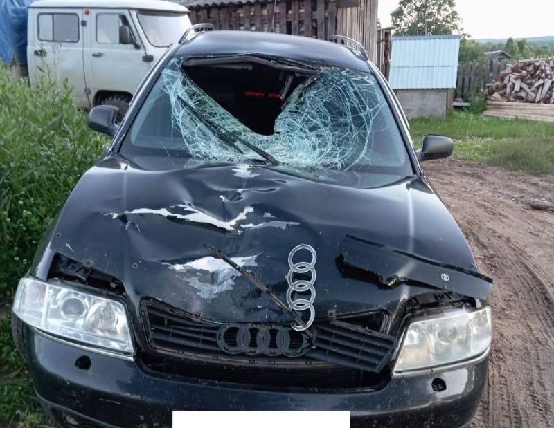 В Кировской области осудили водителя, насмерть сбившего 14-летнего мальчика