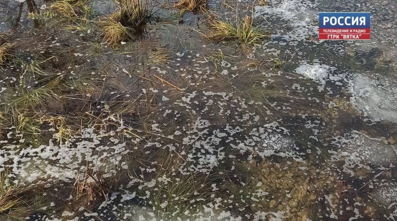 В Кировской области контролируют ситуацию с половодьем