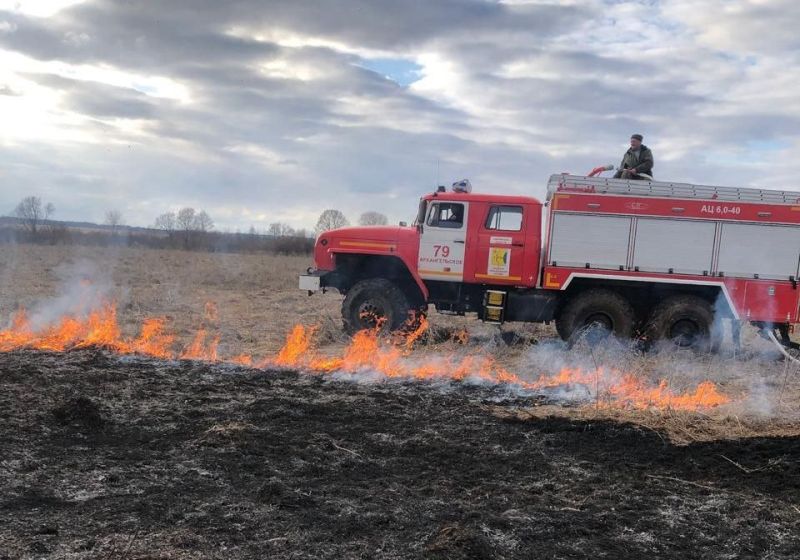 Крупный ландшафтный пожар произошел в Немском районе