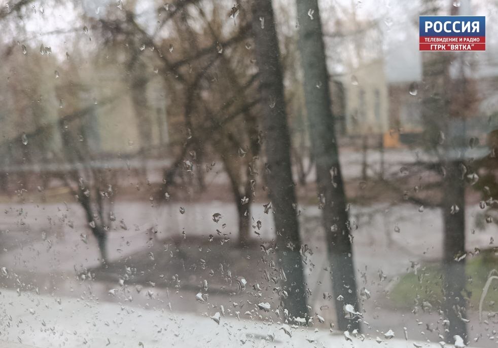 Ливень,грозу и порывы ветра  до 18 м/с обещают в воскресенье в Кировской области