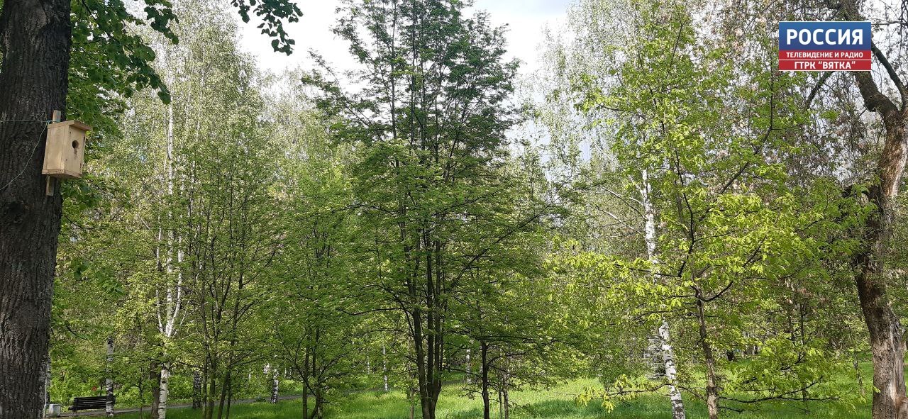 Во вторник синоптики прогнозируют облачную с прояснениями погоду  и небольшой дождь
