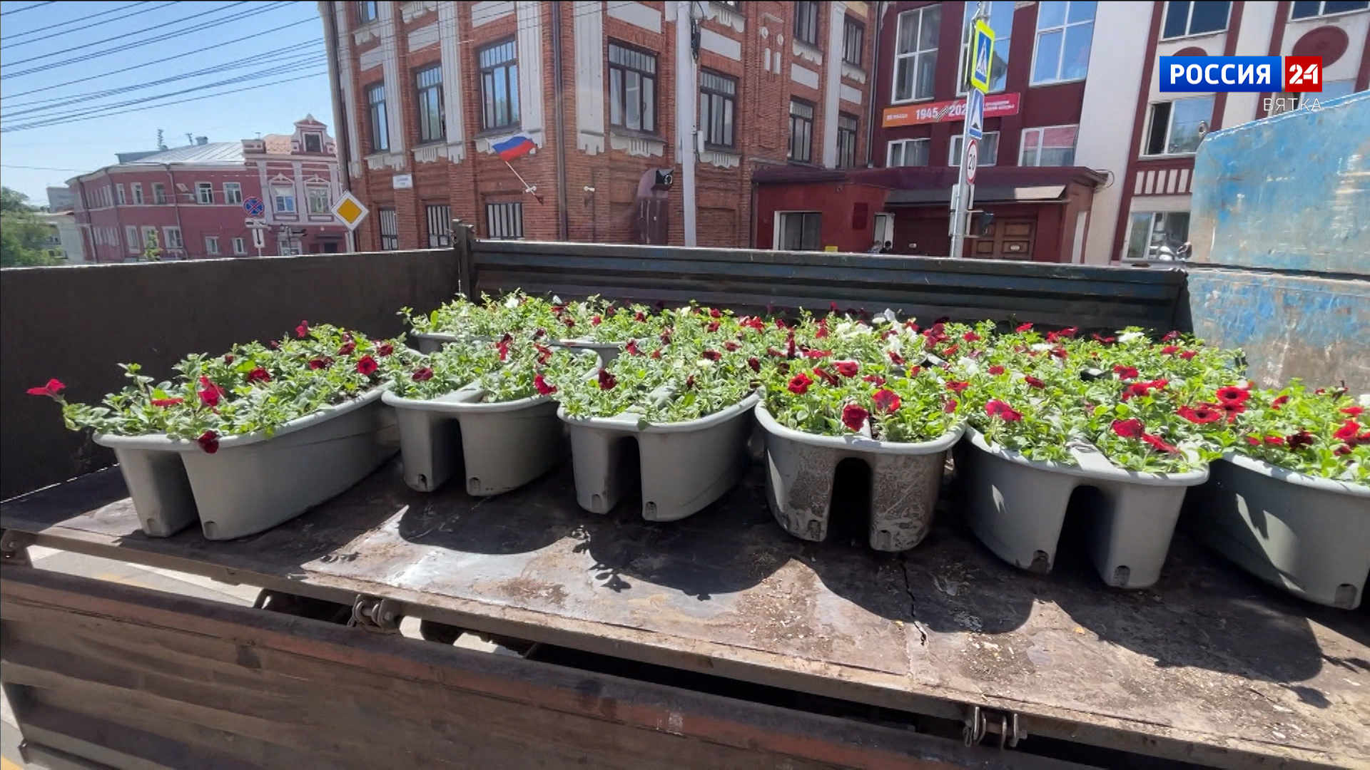 В Кирове начали высаживать однолетние культуры