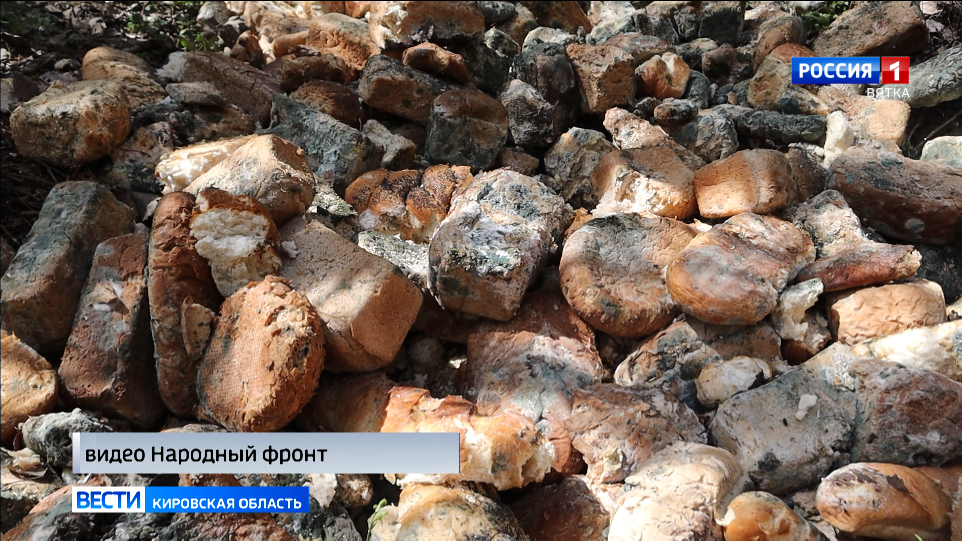 В Слободском районе в лесу обнаружили свалку хлебобулочных изделий