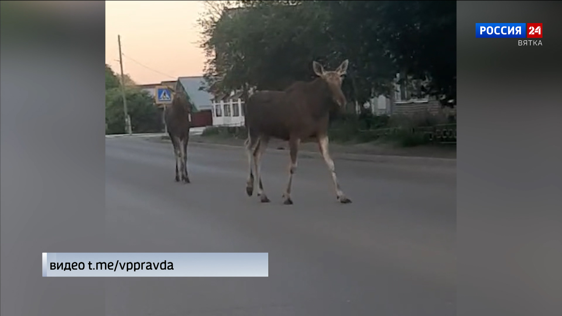 Жители Вятских Полян наблюдали на улицах необычных прохожих