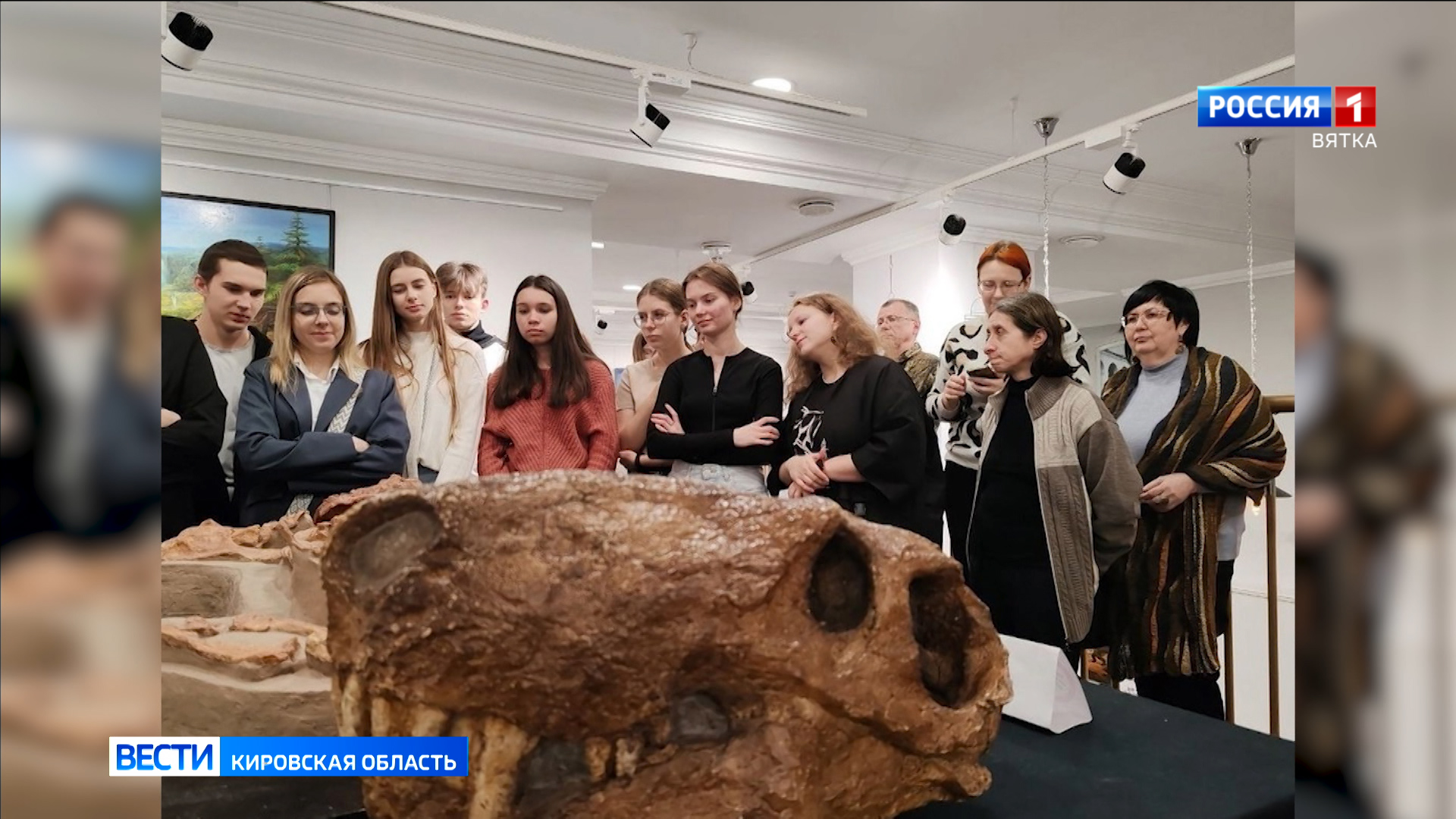 Палеонтологические находки Кировской области увидят туристы со всей страны