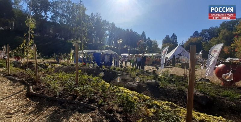 Кировчане могут предложить свое видение развития территории оврага Засора