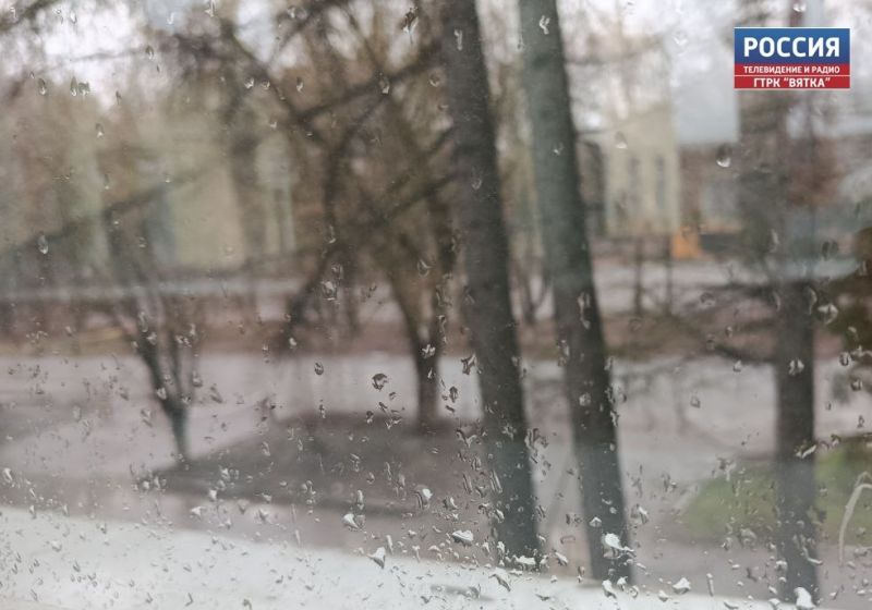 Ливень,грозу и порывы ветра  до 18 м/с обещают в воскресенье в Кировской области