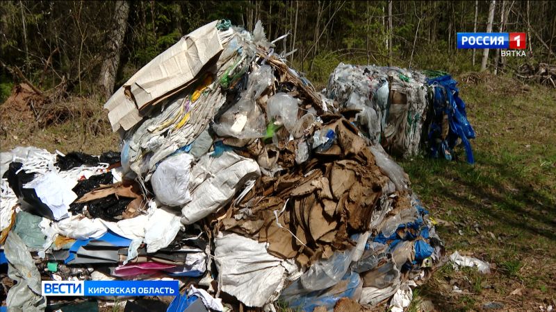 Жители села Бобино обнаружили несанкционированную свалку отходов в лесу недалеко от санатория Митино