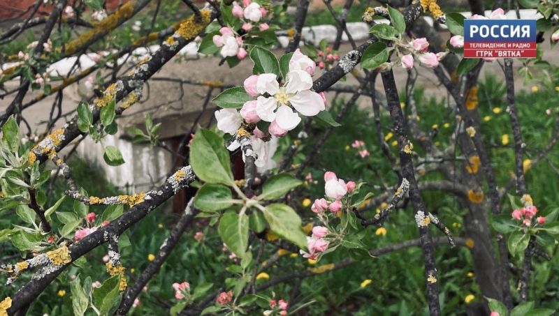 Во вторник в регионе будет облачно и до  15