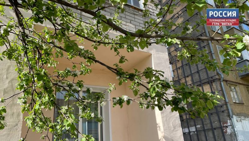 Во вторник в Кирове воздух прогреется до  27