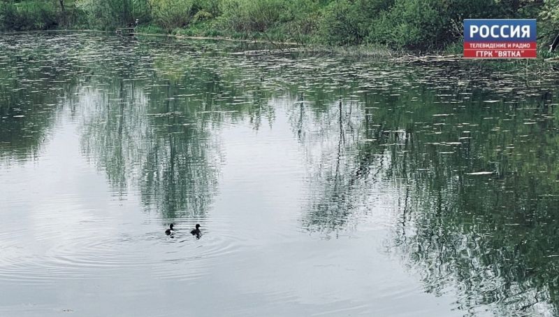 В субботу в Кировской области обещают ясную погоду