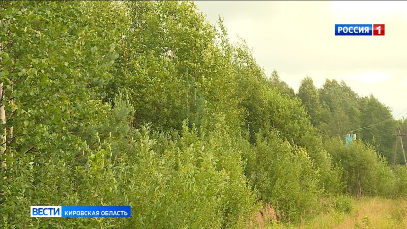 В Даровском районе нашли пропавшую без вести девочку