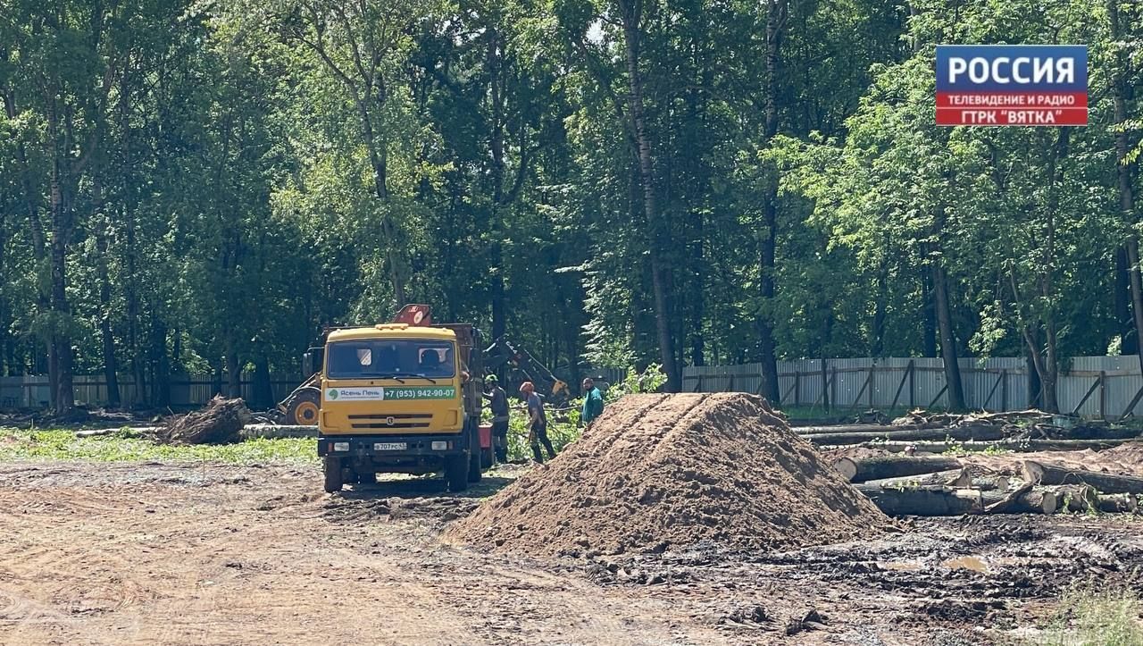 Тополя на спортплощадке в Парке Гагарина планирую заменить другими деревьями