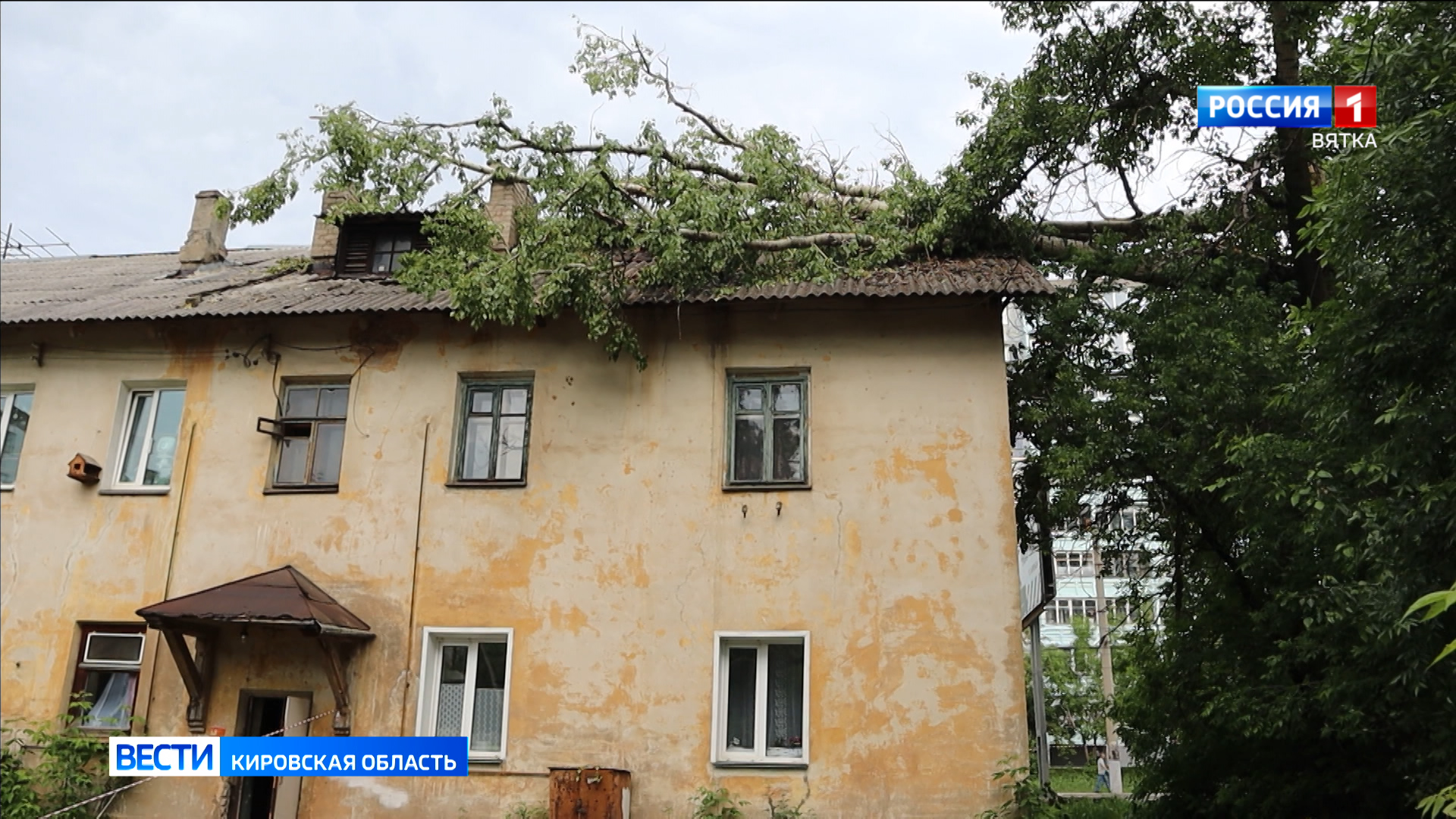 Жителей дома на Северном кольце беспокоит упавшая на здание ветка дерева