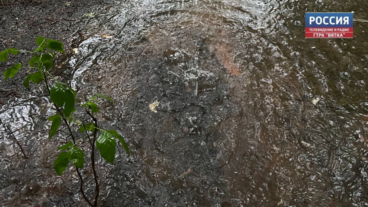 В субботу в Кировской области ожидаются дожди