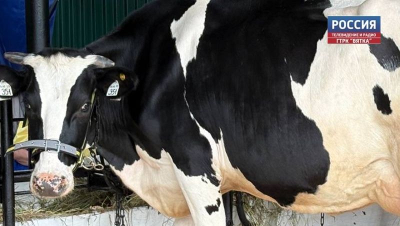 Новый молочно-товарный комплекс построят в Кировской области