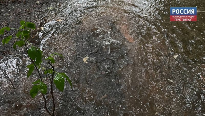 В субботу в Кировской области ожидаются дожди