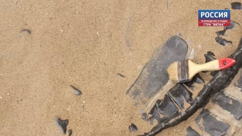 На юге Кузбасса впервые нашли артефакты юрского периода