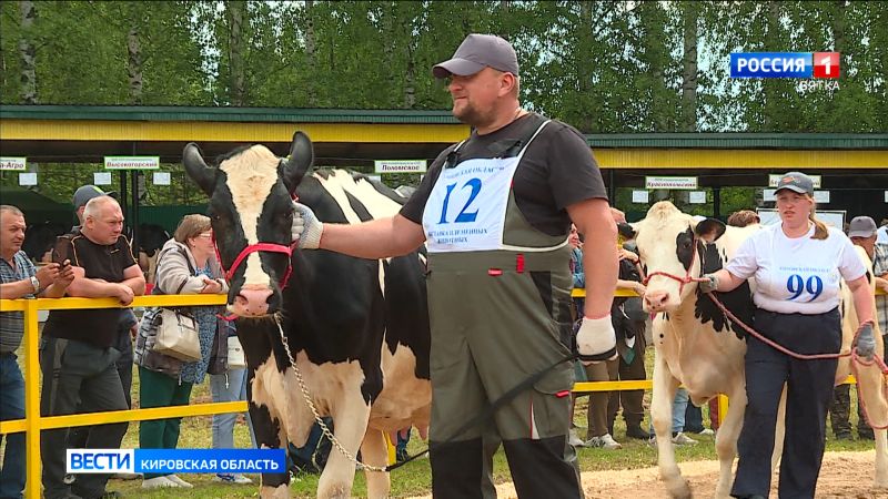 В Кирове прошла областная выставка племенных животных