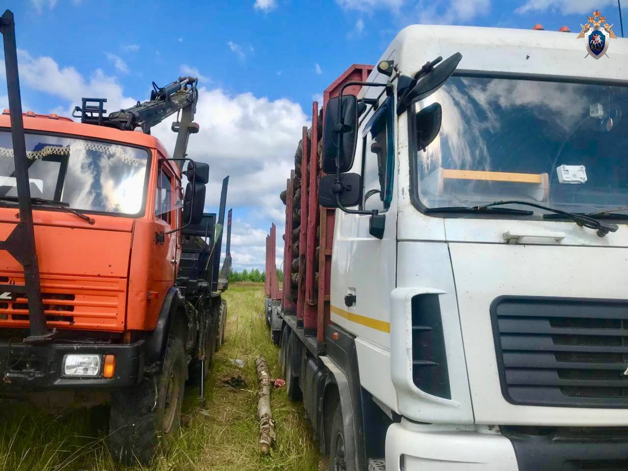 В Тужинском районе погиб водитель КамАЗа