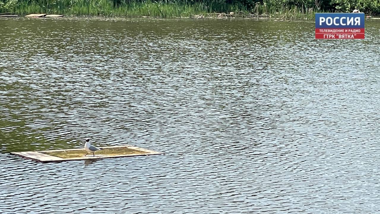 В Яранском районе проведут проверку из-за закрытия пляжа