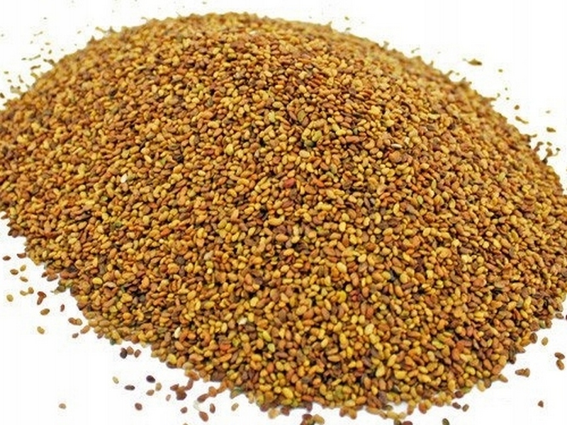 Из Кировской области в Республику Беларусь почти в 4 раза увеличился экспорт семян люцерны для посева